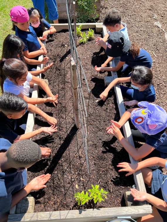 Children planting