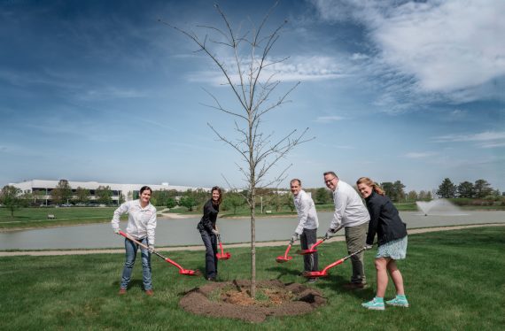 Group with shovels around a large planted tree