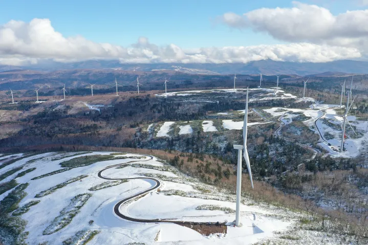 A wind power plant covered with snow.
