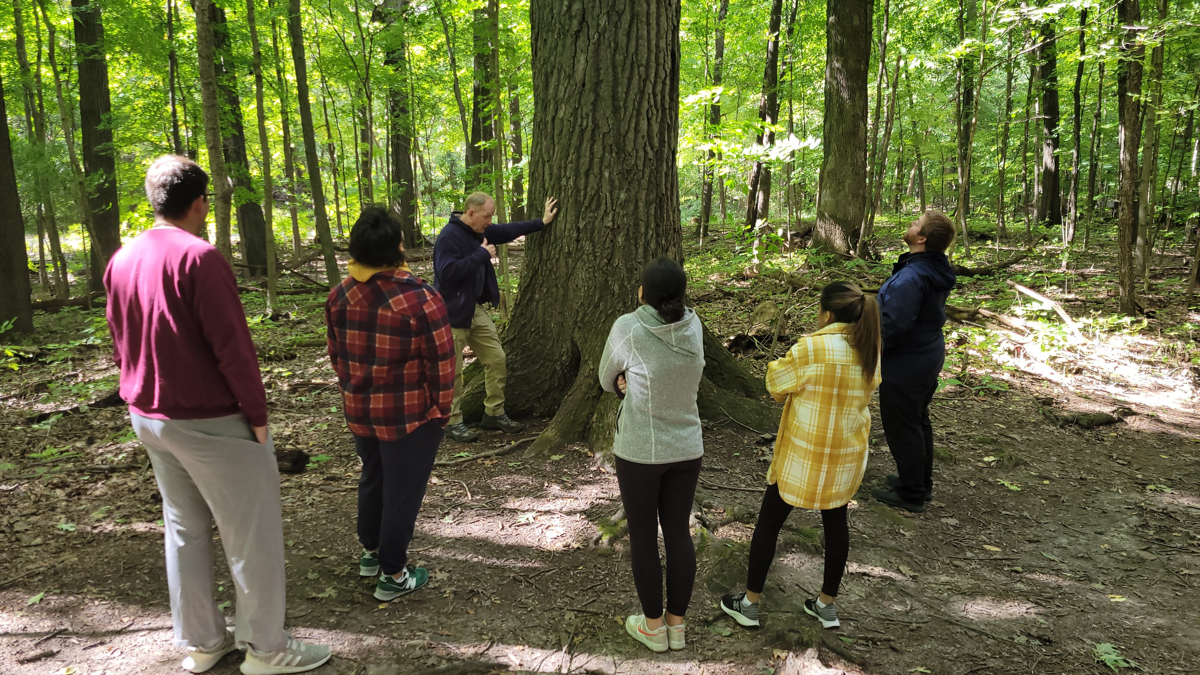 A group of people standing around a tree in a forest.