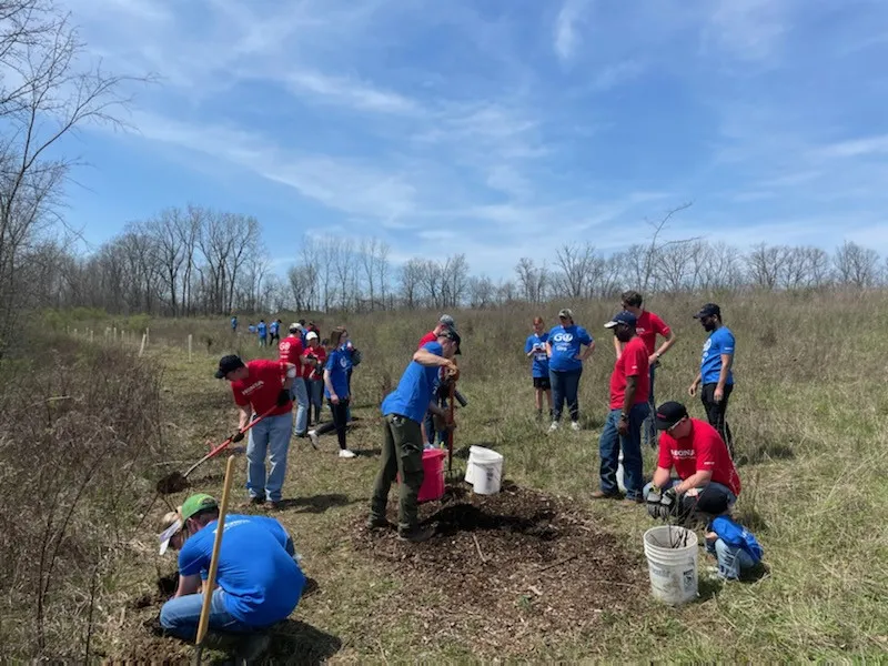 A group of people planting trees in a field.